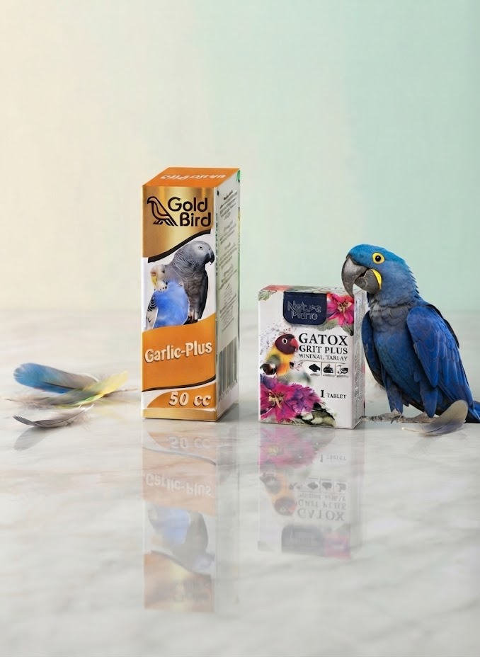 Gold Bird Garlic-Plus 50 cc + Natura Plan  Mineral Tablet Seti - Kuşlar İçin Sarımsaklı Bağışıklık ve Sindirim Desteği