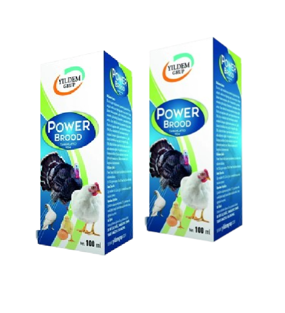 POWER BROOD 100 ML  X 2 ADET 
