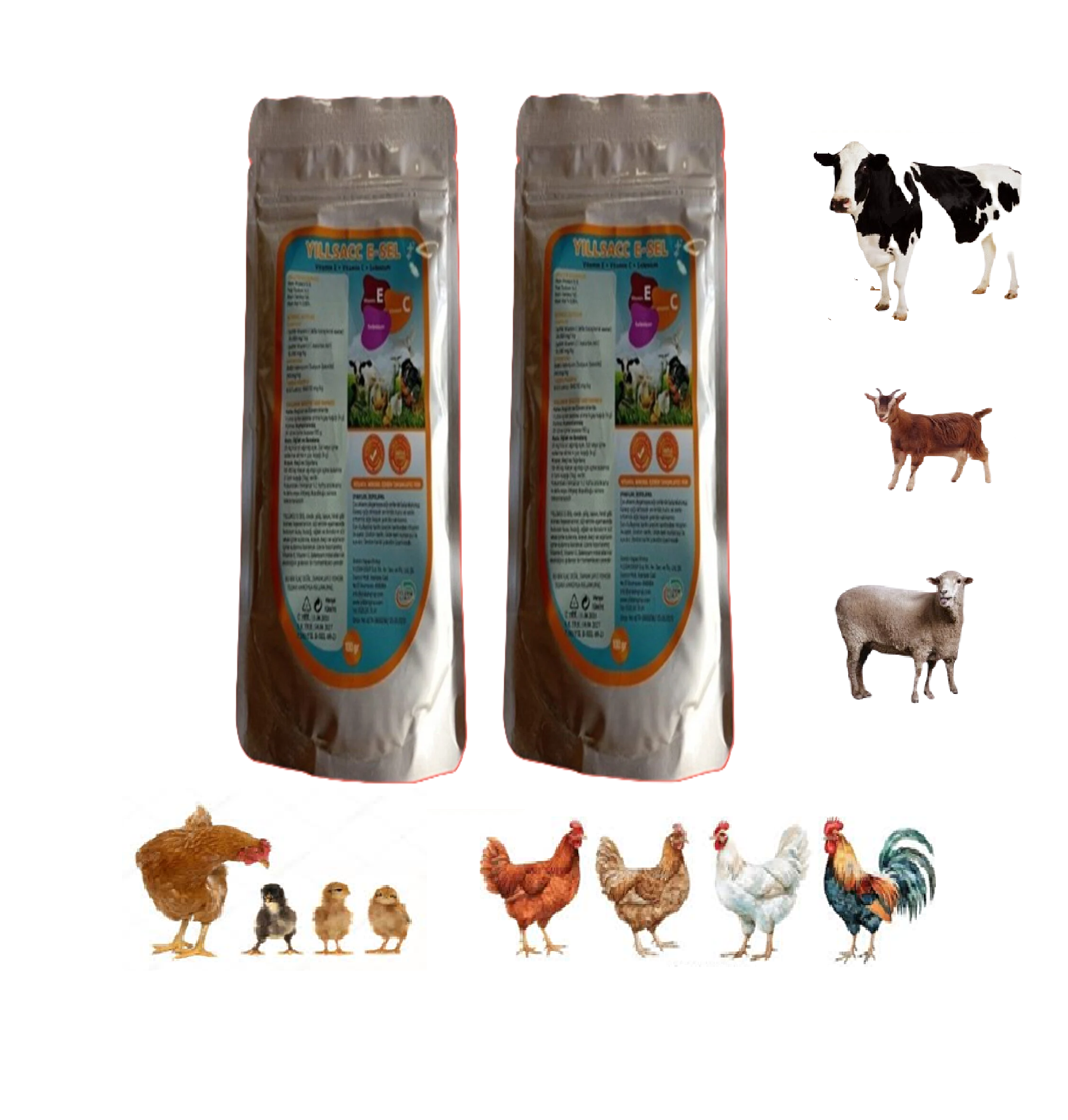 YILSAC E-SEL Kuş ve Kanatlılar İçin Vitamin Takviyesi – E + C + Selenyum 100 gr X 2 Adet