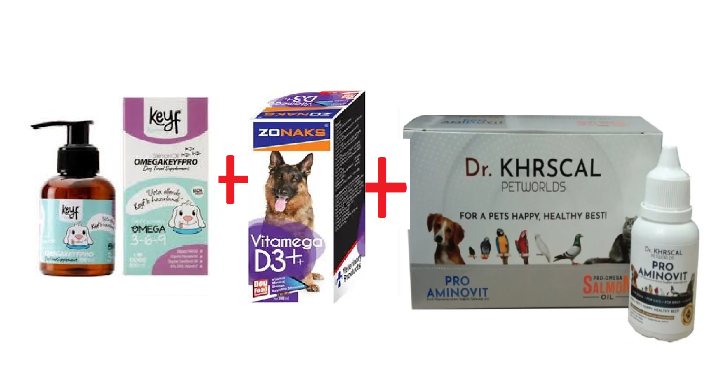 KÖPEK VİTAMİN SET (Köpekler İçin Balık Yağı Somon Yağı 100 ml + Köpekler İçin VİTAMİN + D3)