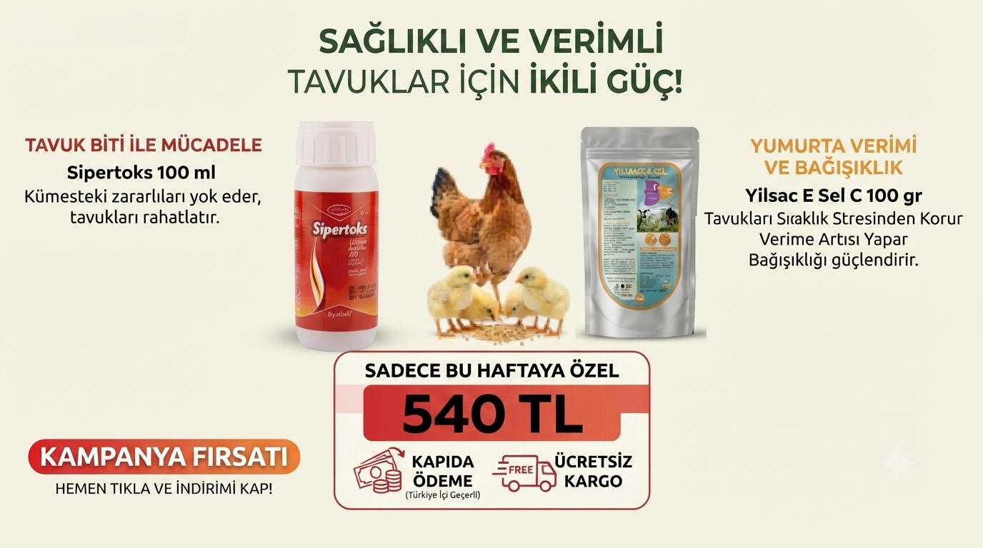 Sipertoks 100 ml Ve Yılsac E sel C 100 gr 